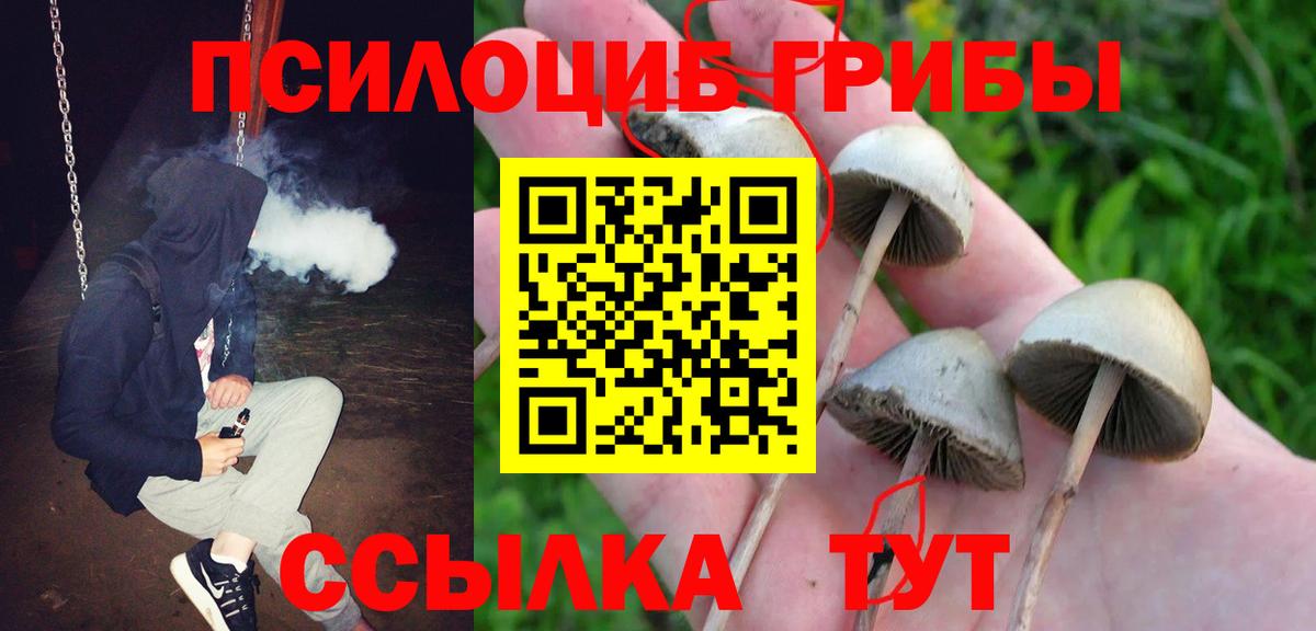 Новоуральск  Галлюциногенные грибы Cubensis  Вход с VPN 